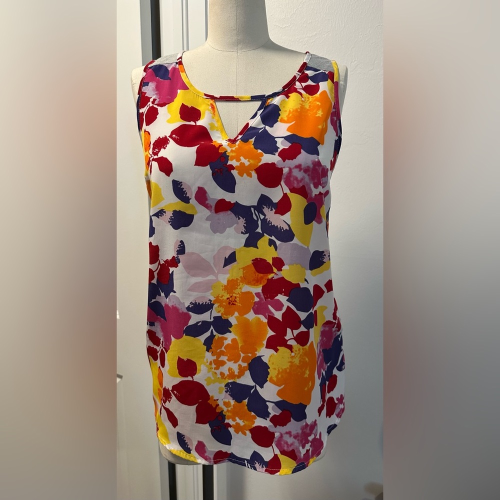 Pixley Multicolor Sleeveless Blouse